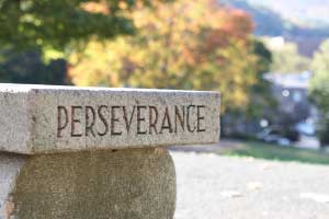 Perseverance bench